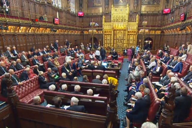 The government suffered its first defeat in the Lords over the European Union (Withdrawal) Bill after peers voted in favour of a customs union amendment