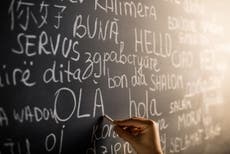Scientists reveal cut-off age for learning a new language
