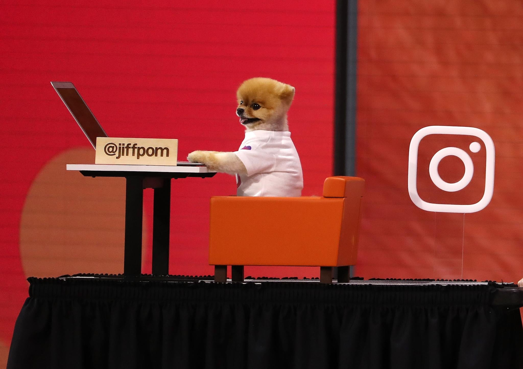 Instagram star user JiffPom appears during the F8 Facebook Developers conference on May 1, 2018 in San Jose, California
