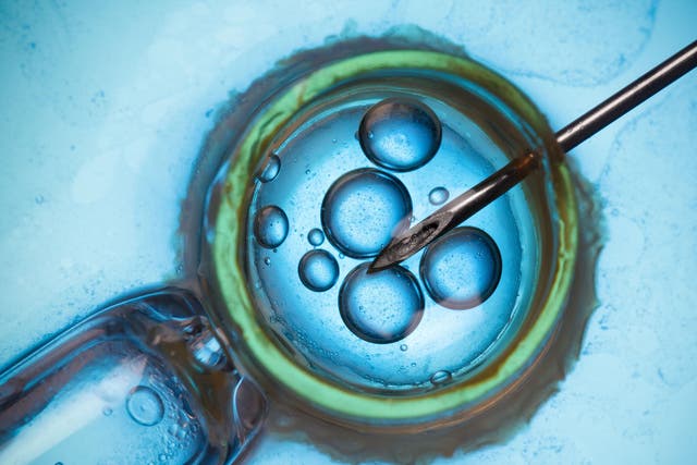 Six out of 10 IVF cycles in the UK are funded by patients themselves, according to the the Royal College of Obstetricians and Gynaecologists 