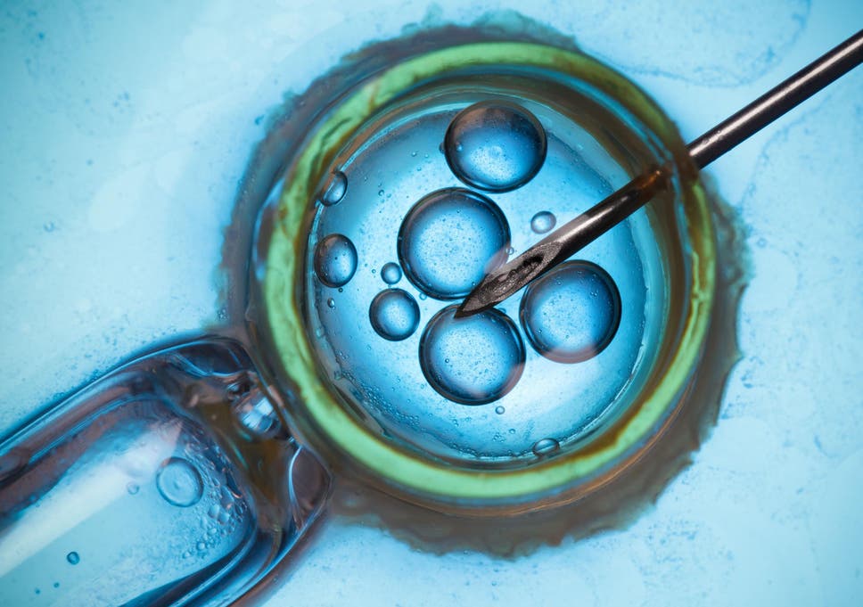 Couples Being Denied Ivf Treatment On Nhs Because Men Are Deemed