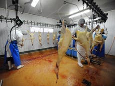 Gove under pressure to ban foie gras after Brexit