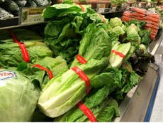 First person dies from eating romaine lettuce after E coli outbreak