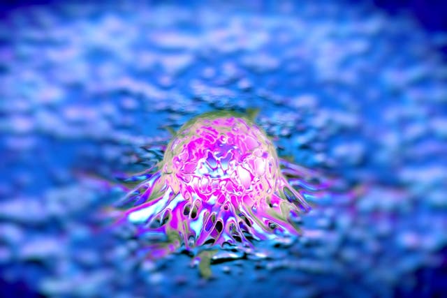 Research suggests cancer dormancy is a crucial time for tumour progression