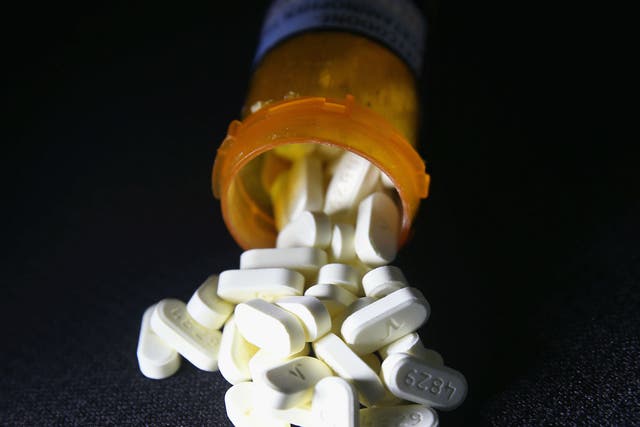 The lawsuit notes that public health officials consider the opioid epidemic to be the 'worst drug crisis in American history'