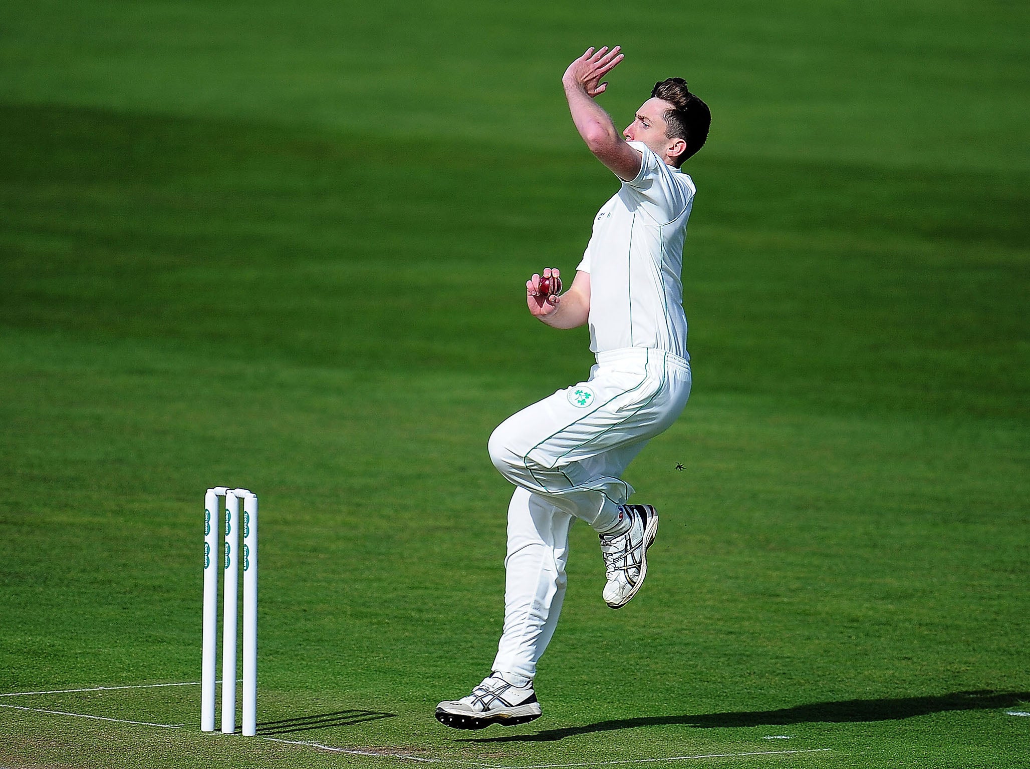 Ireland Peter Chase in action against Somerset