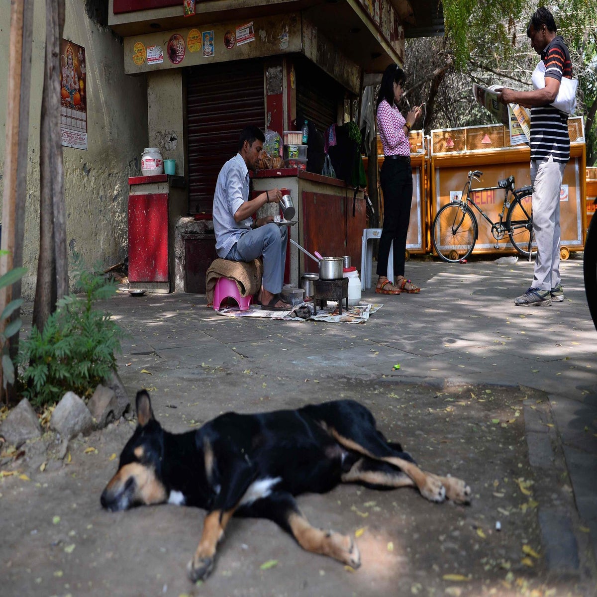 Desi 7 Dog Sex - How a dog bite in India almost cost me my life | The Independent | The  Independent