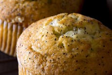 Viral photo of ticks on muffin terrifies the internet