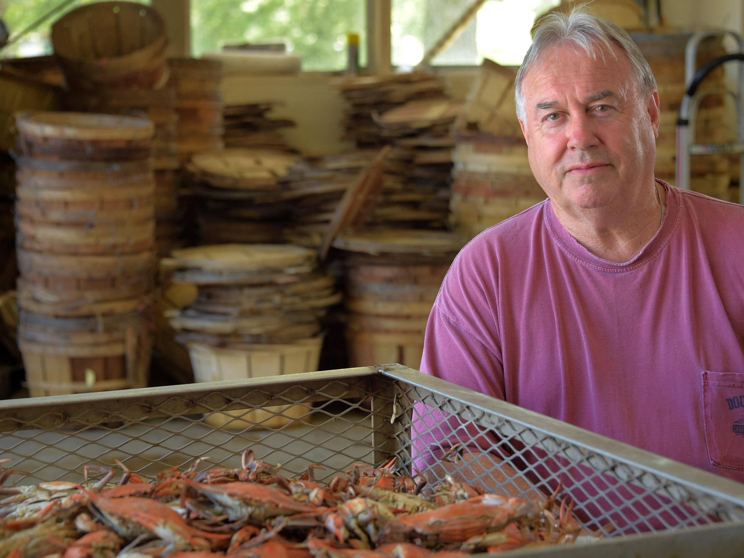 Tighter legal immigration restrictions are causing a shortage of crab pickers, putting businesses that rely on foreign labour, such as GW Hall and Sons, at risk