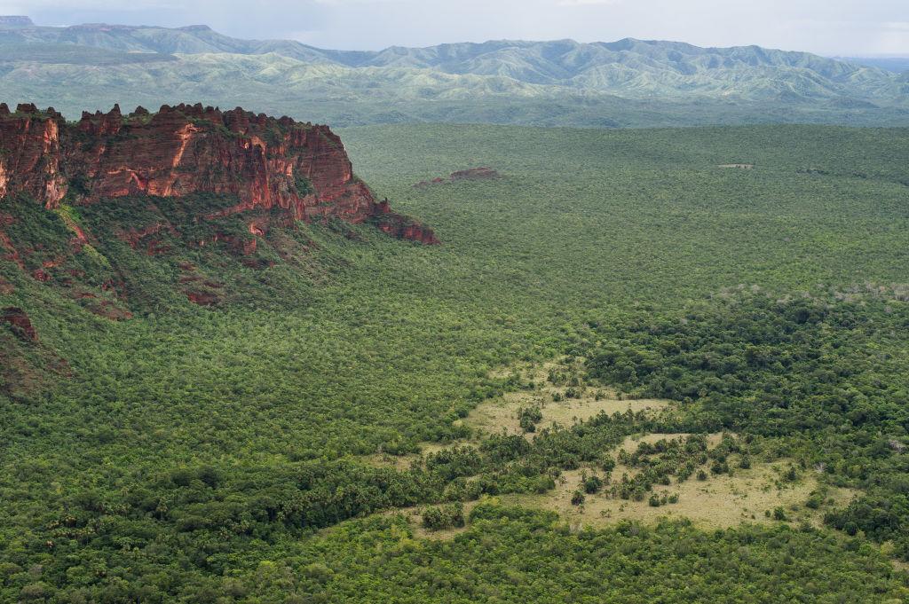 Brazil’s Pantanal is an area of extraordinary biodiversity