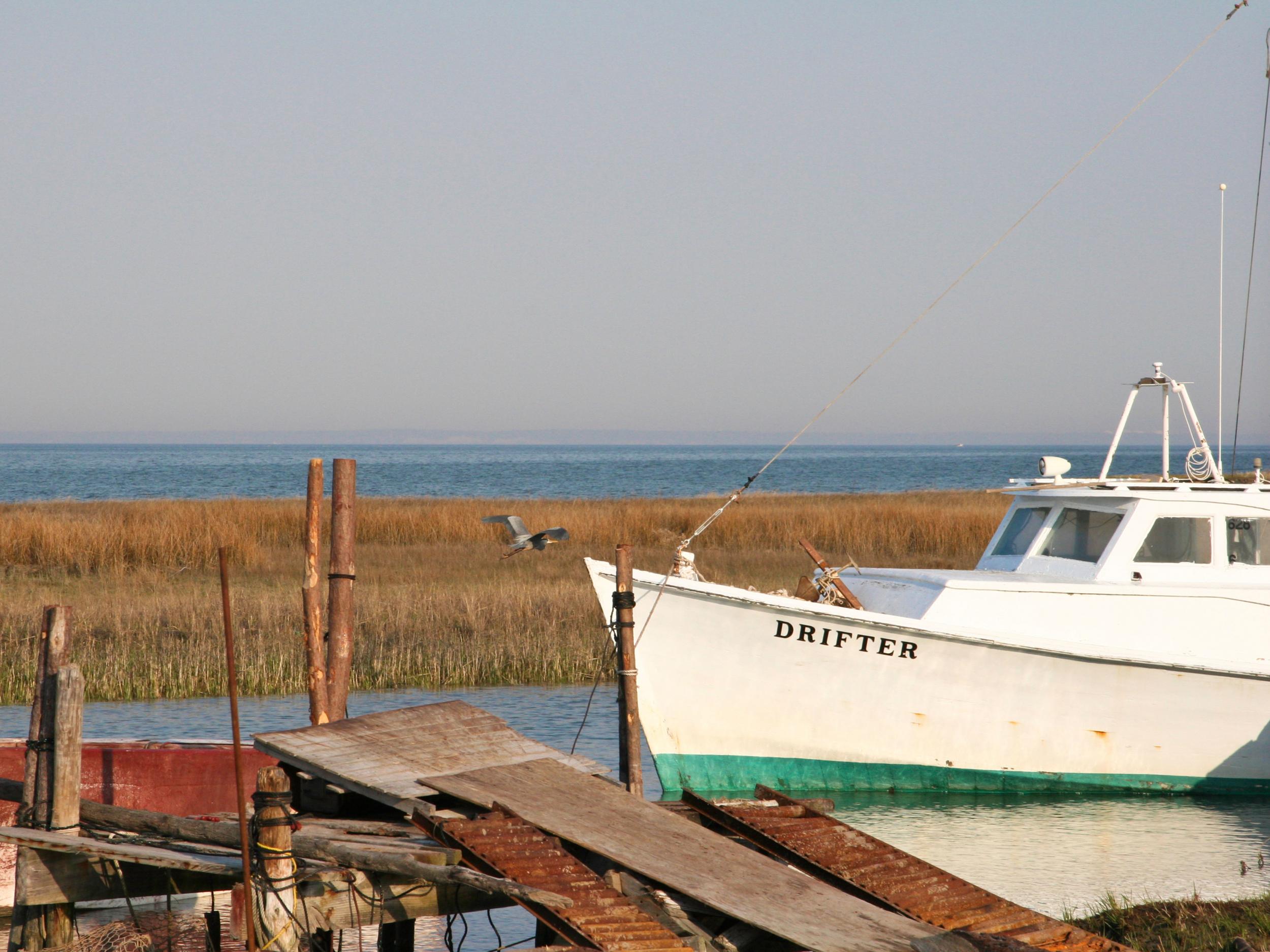 Nearly half of the local crab houses have lost the workers, mostly from Mexico, who come each season