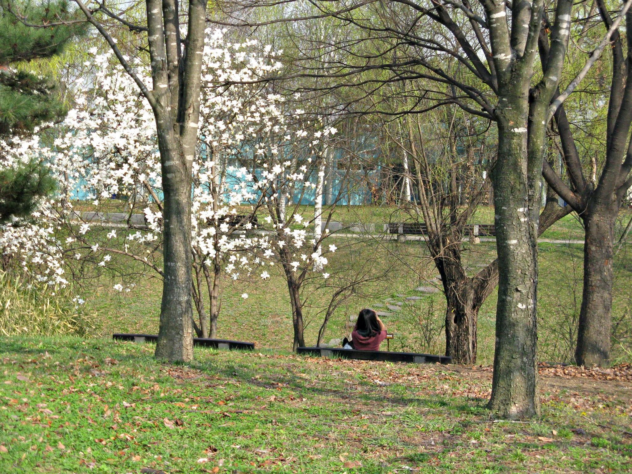 Peace Park is peppered with art installations