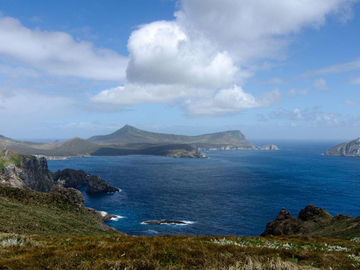Massive wave in New Zealand biggest ever recorded in southern hemisphere The Independent The