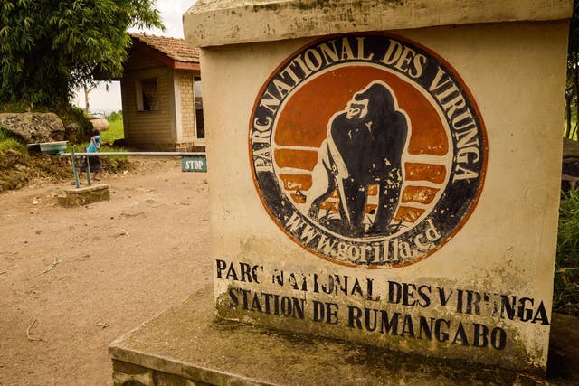 Two Britons who were kidnapped by an armed group while visiting the Virunga National Park have been released following an operation by the Congolese army and park rangers to rescue them