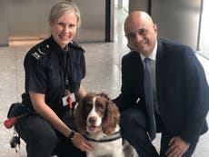 Crystal meth found at Home Office after Javid posed with sniffer dogs