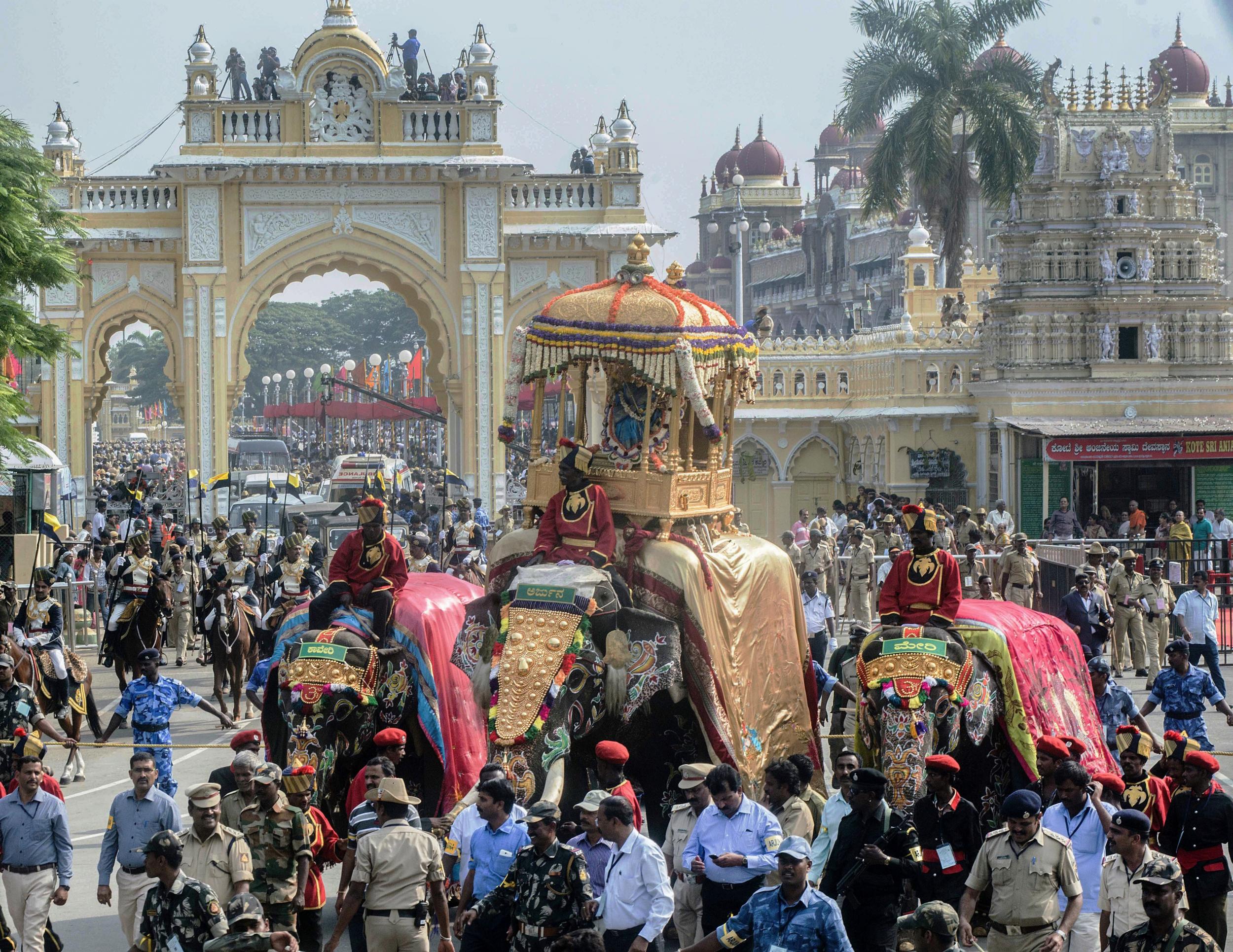 Colourful processions can mask animal suffering