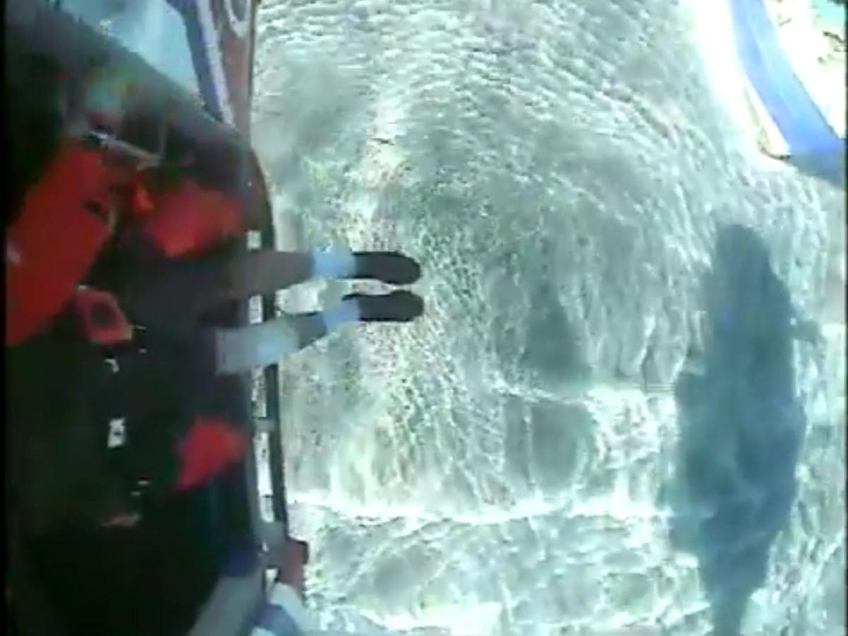 Fisherman attacked by shark off Cornwall coast after catching it in net