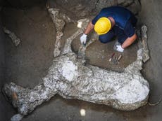 'Extraordinary' discovery revealed by tomb raiders' tunnels in Pompeii