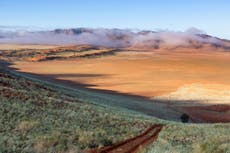Finding fairy circles and foxes on Namibia's sustainable desert safari