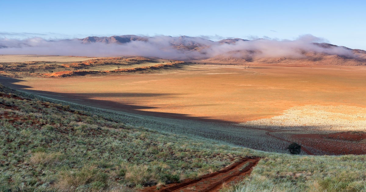 Finding fairy circles and foxes on Namibia's sustainable desert safari, The Independent