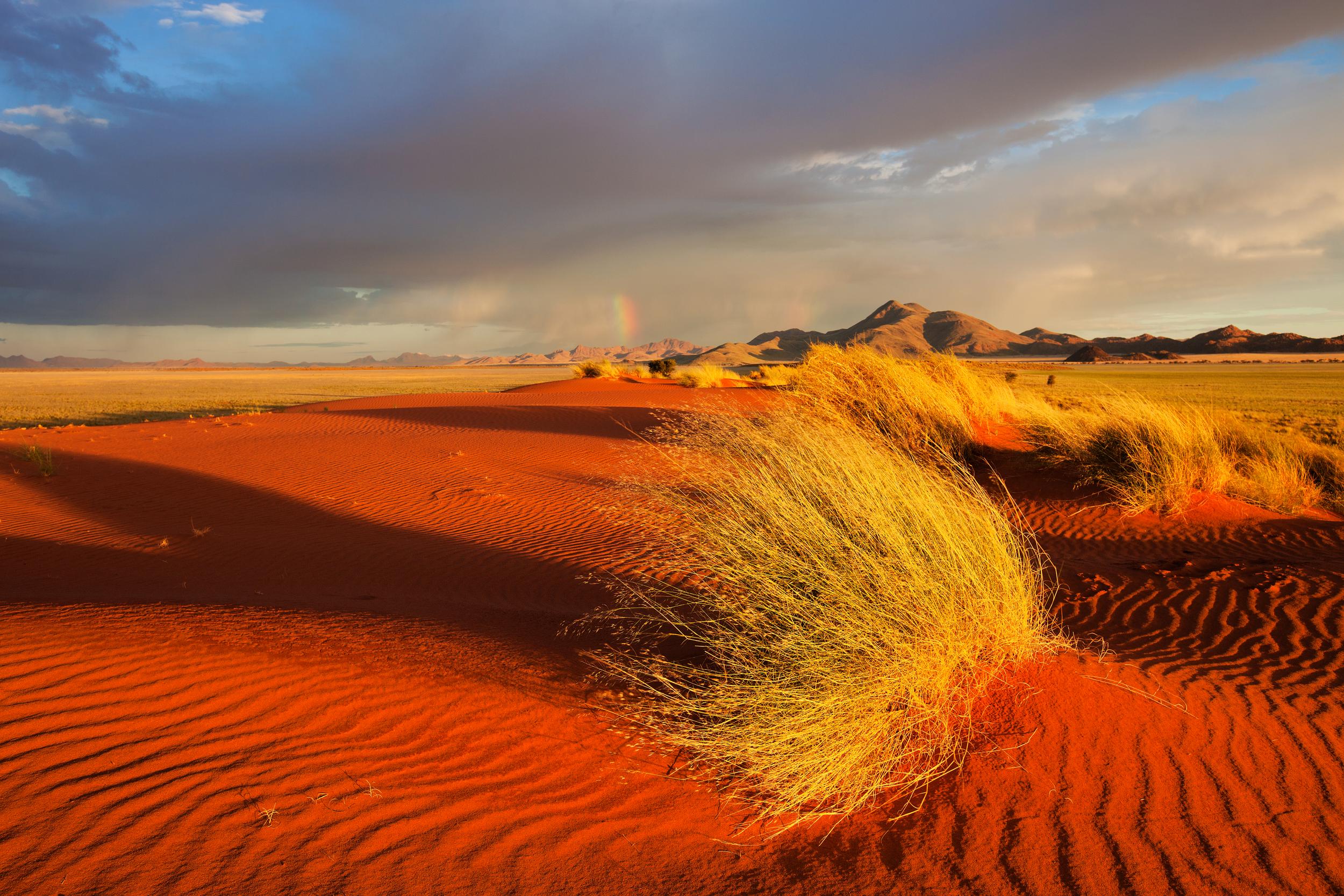 Desertscape: Guided walks show off the dramatic colours of the dunes