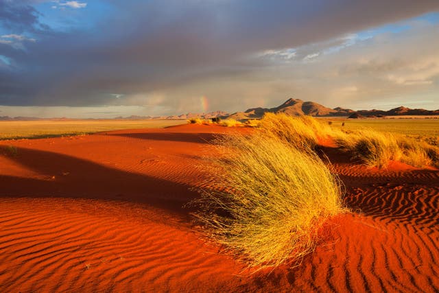 Finding fairy circles and foxes on Namibia's sustainable desert safari ...