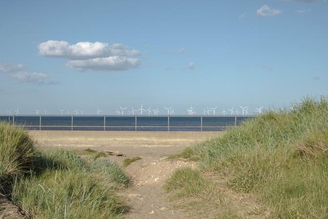 A man accused of paedophilia while on a beach in Skegness says the allegations have 'wrecked his life'