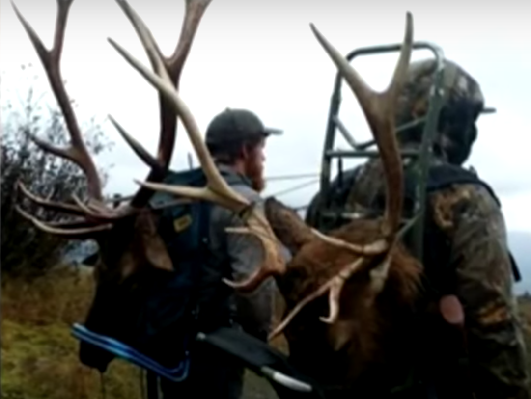 Eleven people have been charged in Oregon with poaching-related crimes