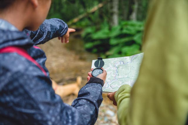 Map reading in the forest