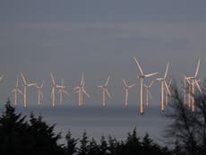 A ‘hostile environment’: Why has UK clean energy investment plummeted?