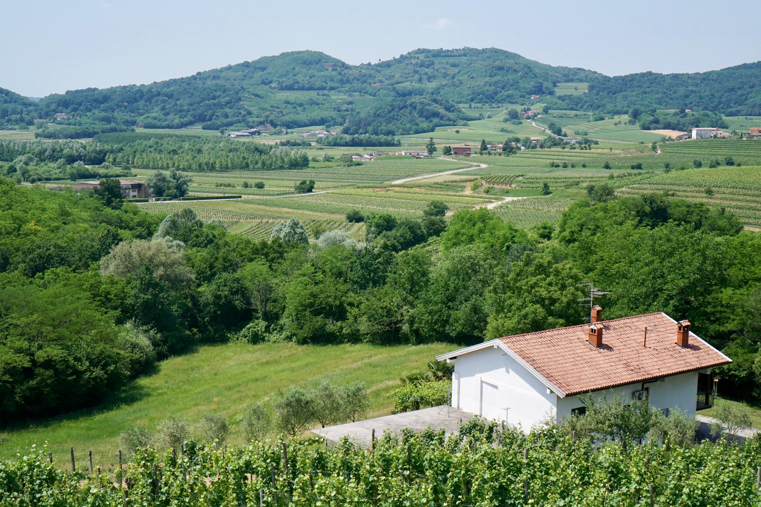 Chalets Nebesa sit atop a hill overlooking the town of Kobarid