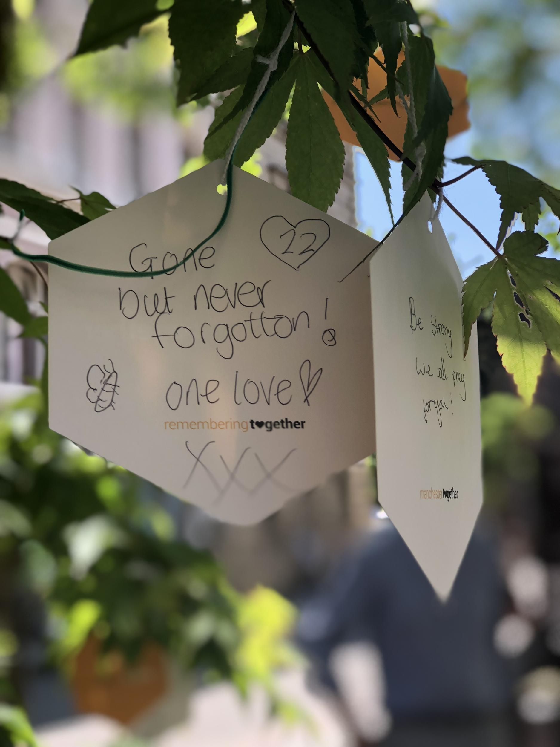 The Trees of Hope trail in St Ann’s Square is made up of 28 Japanese maple trees and invites people to share messages and tributes