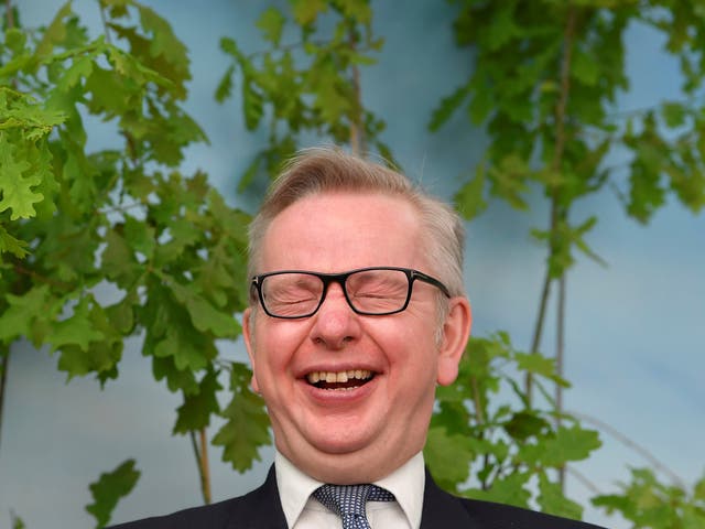 Britain's Environment Secretary Michael Gove 