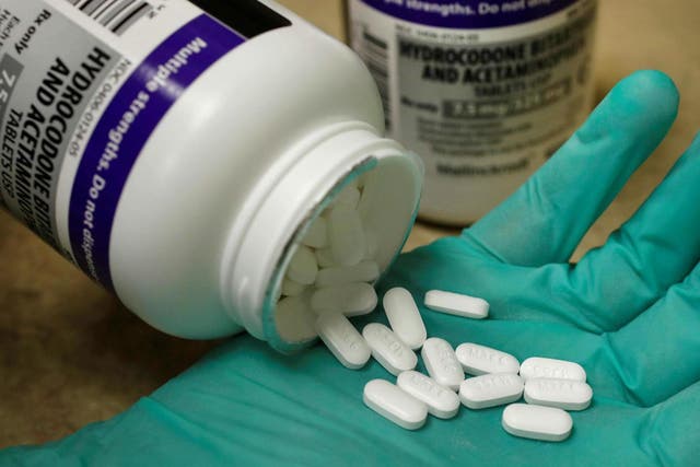 A pharmacist holds the prescription opioid hydrocodone