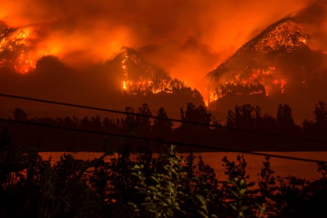 A wildfire burning in the Columbia River Gorge above Cascade Locks