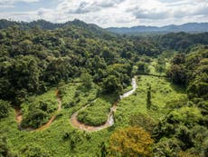 England ‘likely” to be suffering from deforestation, campaigners warn