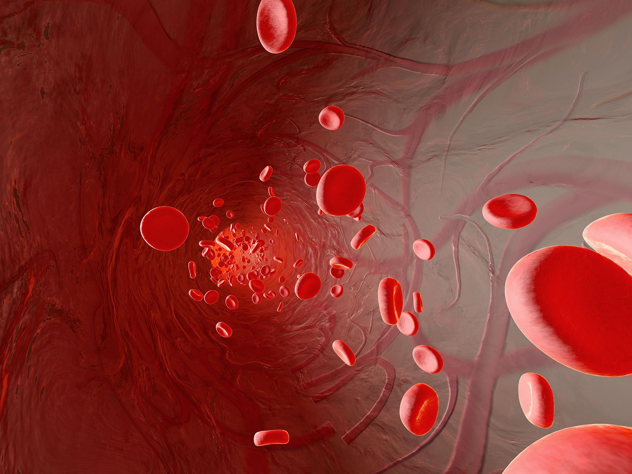 Erythrocyte cells flowing in an artery, 3D Rendering
