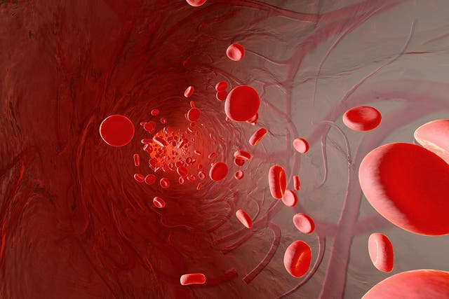 Erythrocyte cells flowing in an artery, 3D Rendering
