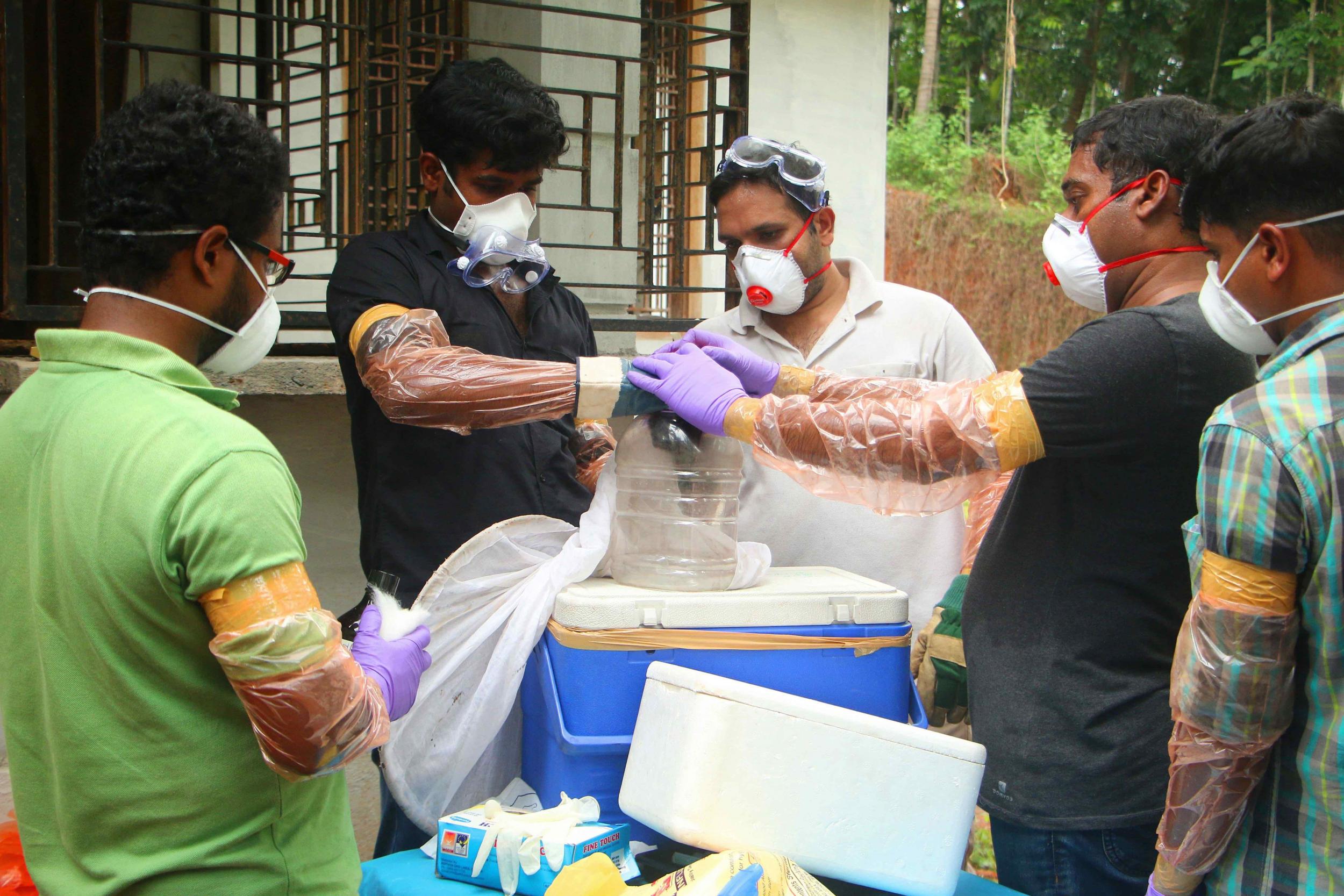 Animal Husbandry officials deposit a bat into a container after catching it inside a well in Kozhikode