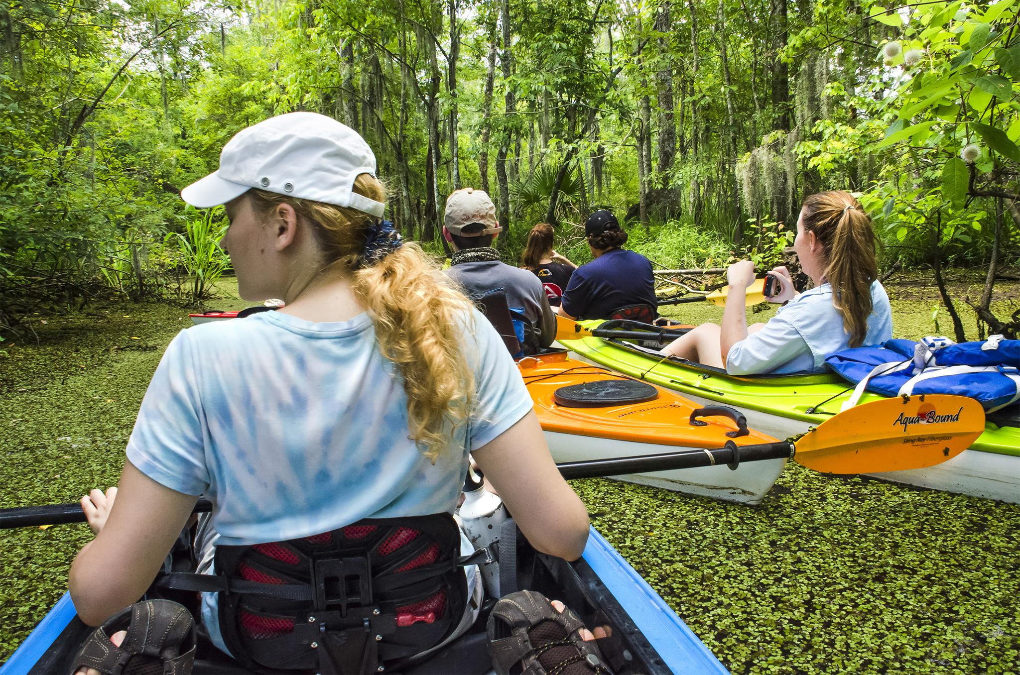 Kayaking through mangroves in Florida’s Everglades