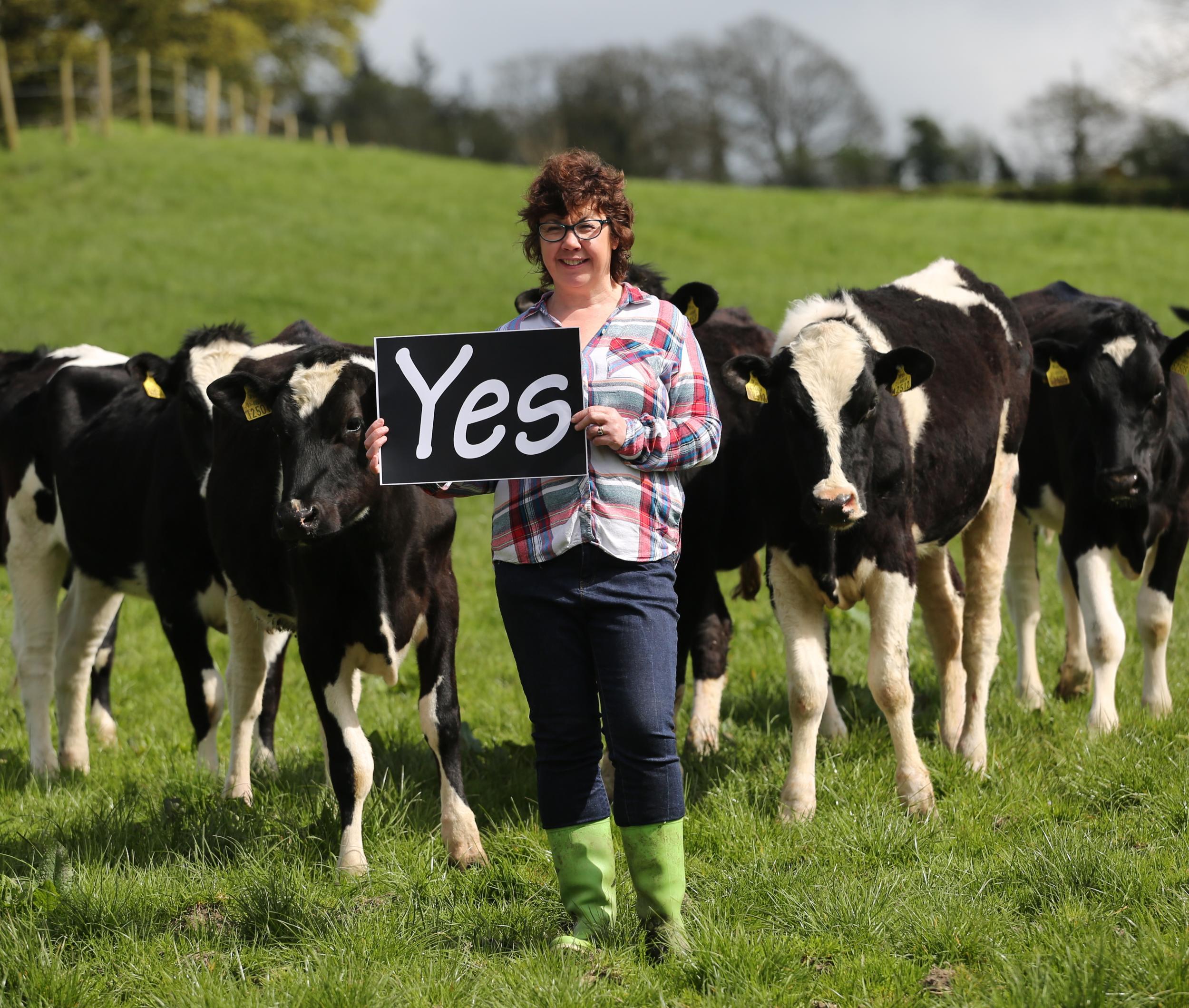 ‘Our campaign aims to show the diversity of views underlying the Yes vote in Ireland’s farming community’