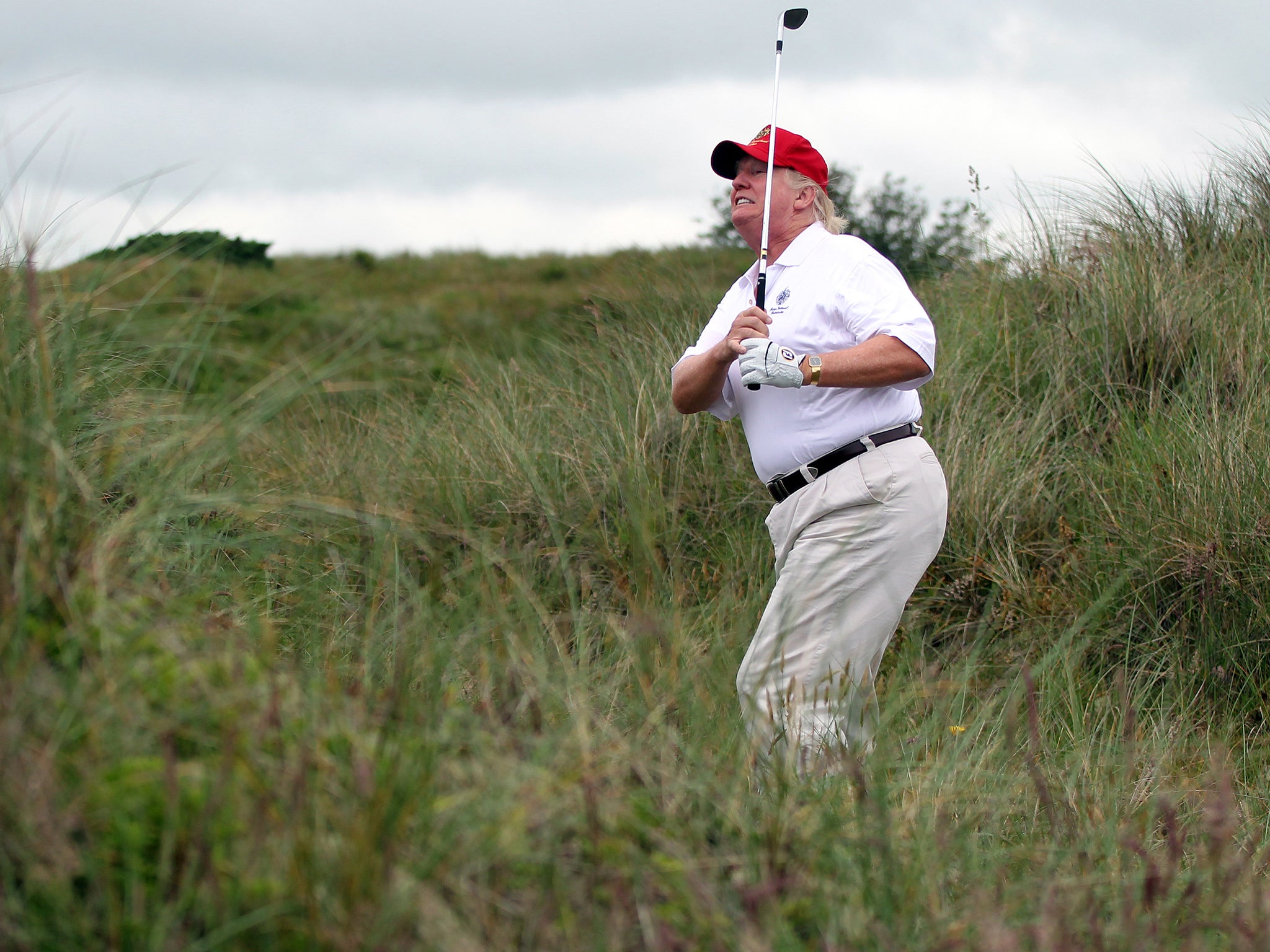 Donald Trump hacks his way out of the rough on his Scottish golf course.