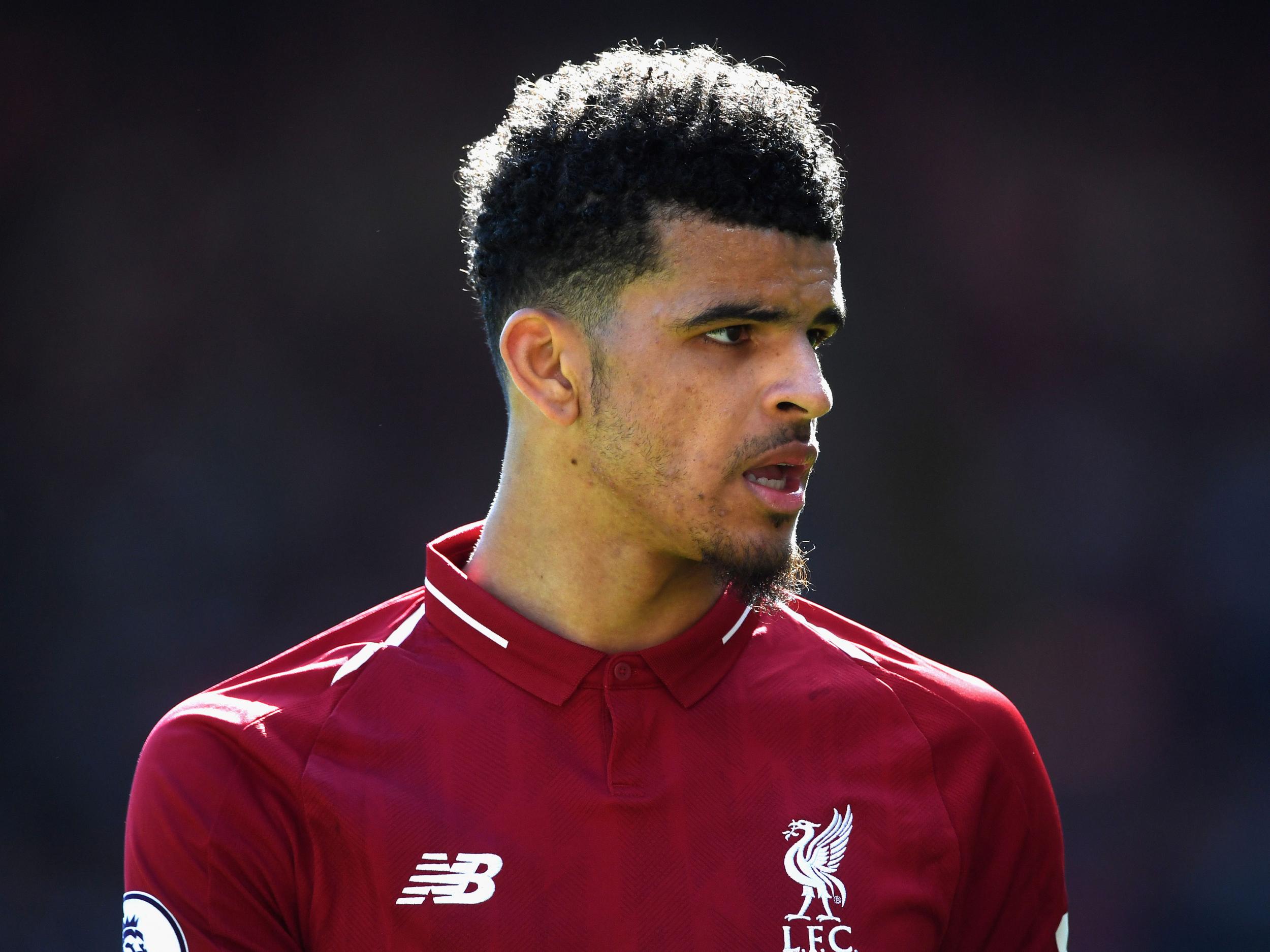 Dominic Solanke has played second fiddle to Liverpool's free-scoring frontline this season