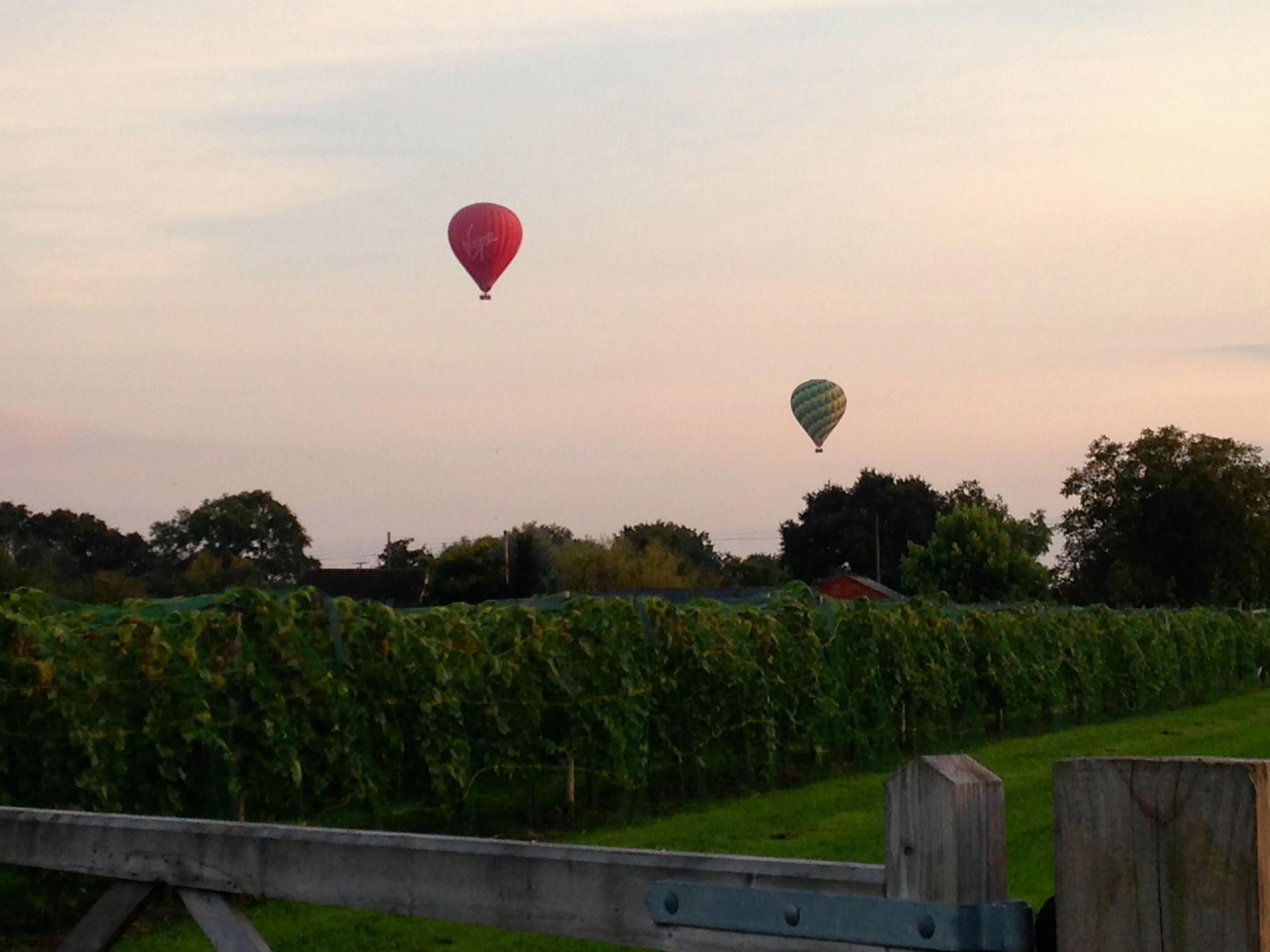 Hot balloons at dusk above Lovells