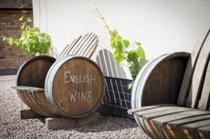 Why wine aficionados should swap Bordeaux for a British vineyard tour