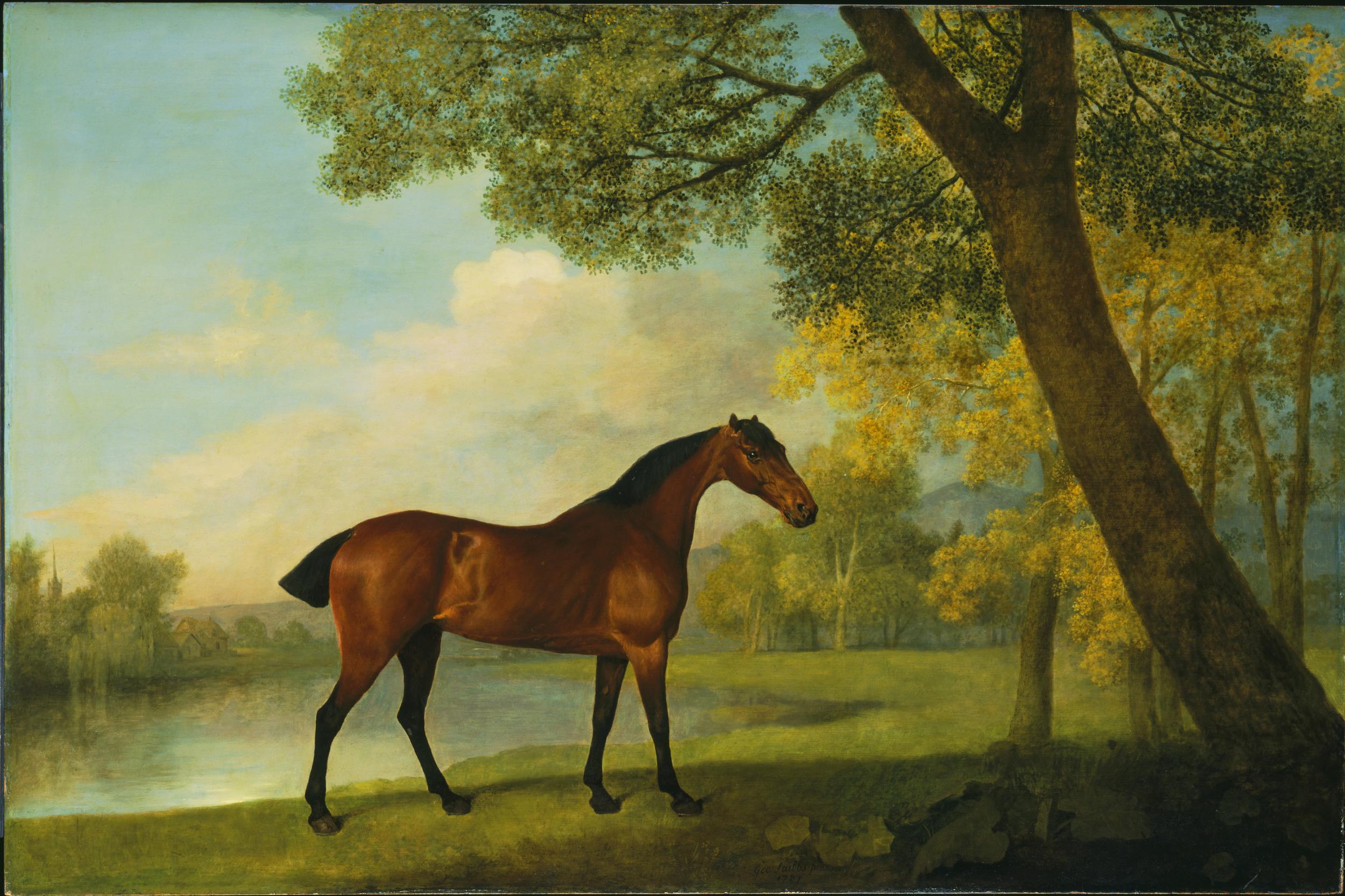 ‘Bay Hunter by a Lake’ by George Stubbs,1787