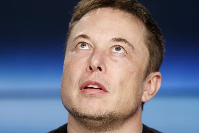 'Please consider this a commitment,' Mr Musk said