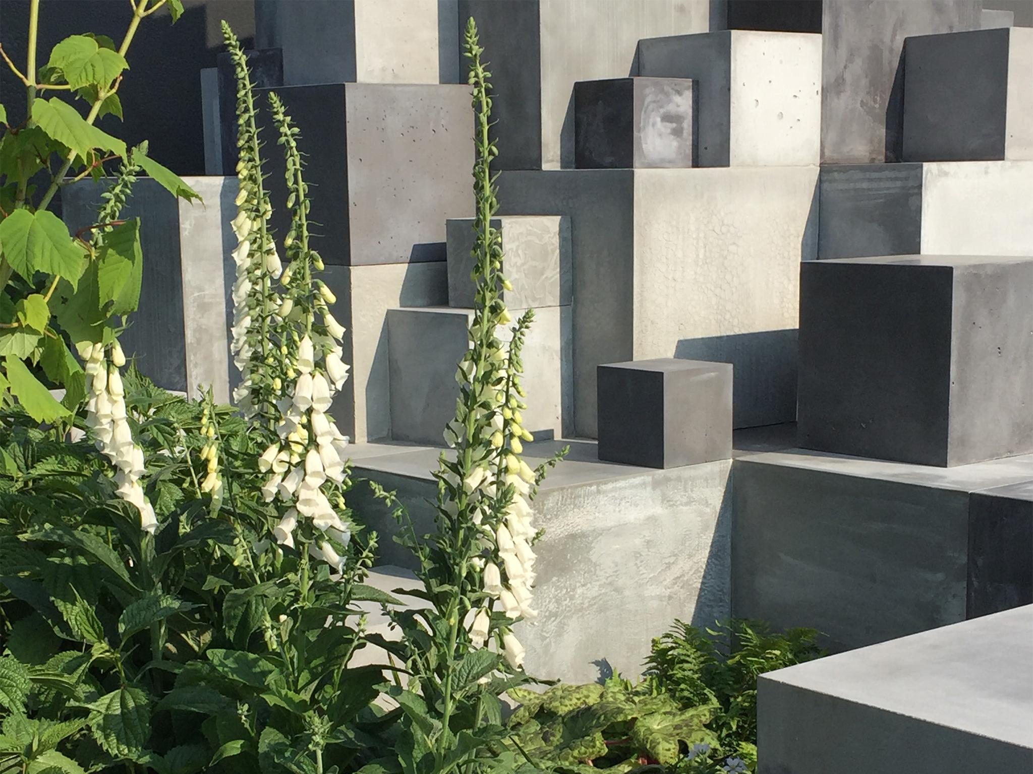 Concrete and foxgloves, combine creamy old-world elegance with modern lines