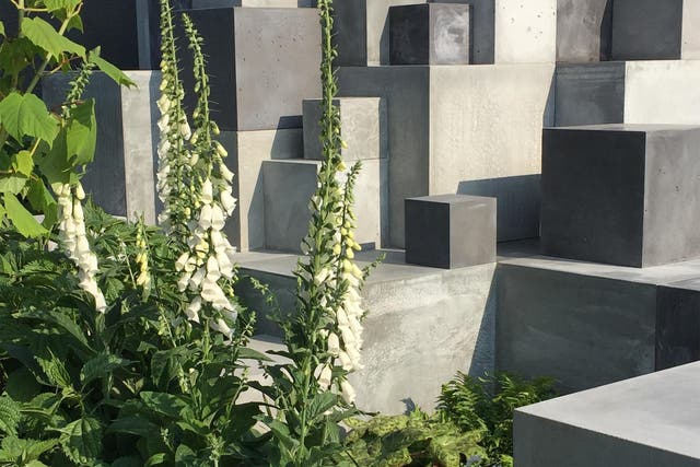 Concrete and foxgloves, combine creamy old-world elegance with modern lines