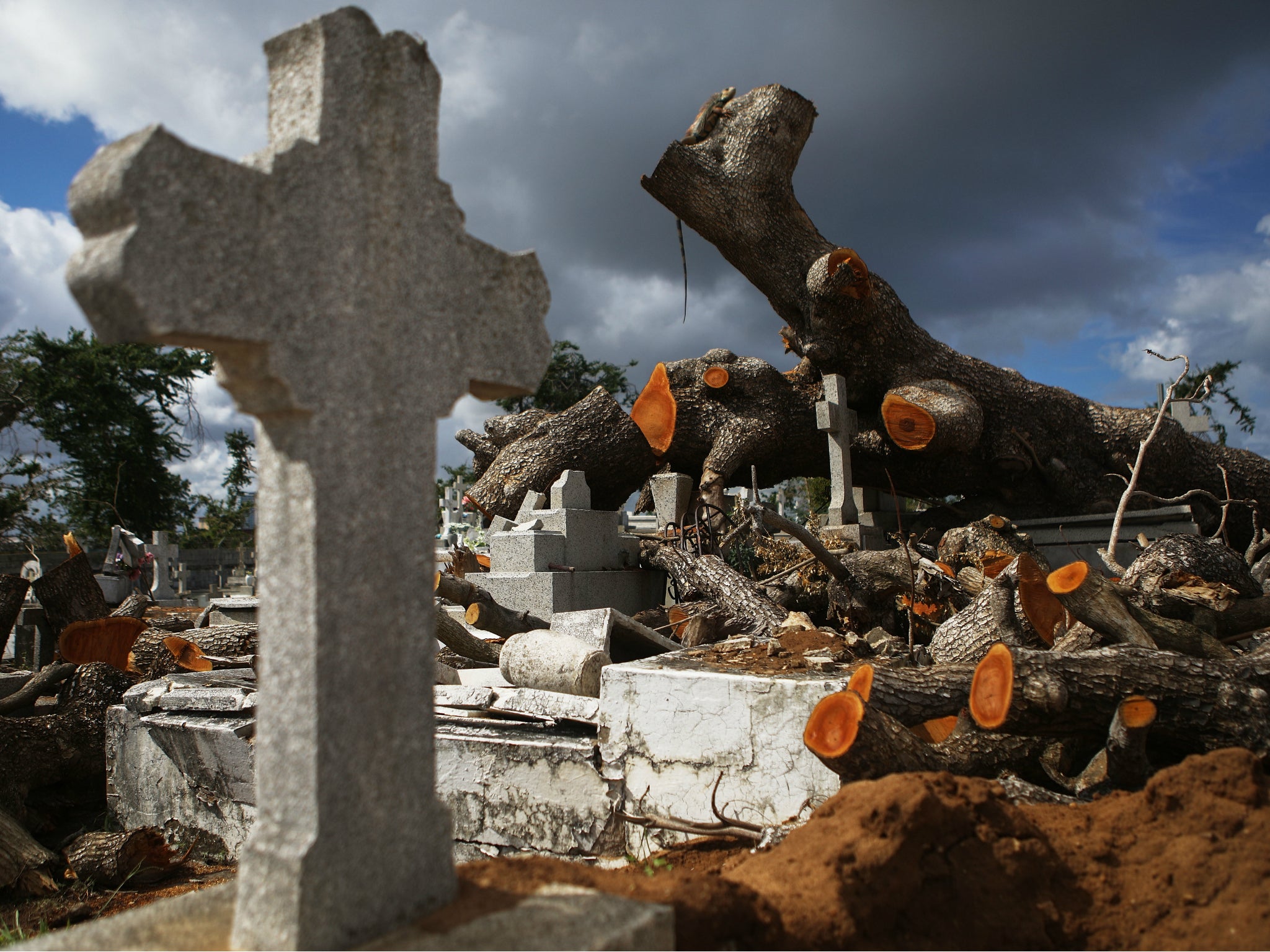 A tree toppled by Hurricane Maria rests over damaged graves in the Villa Palmeras cemetery on 23 December 2017 in San Juan, Puerto Rico.